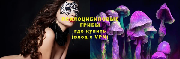 apvp Армянск