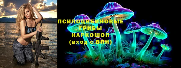 амф Пестово
