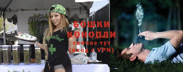 не бодяженный Пересвет